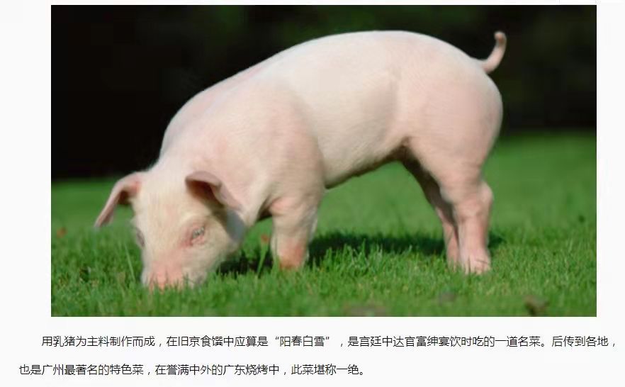 PC端图片6.jpg